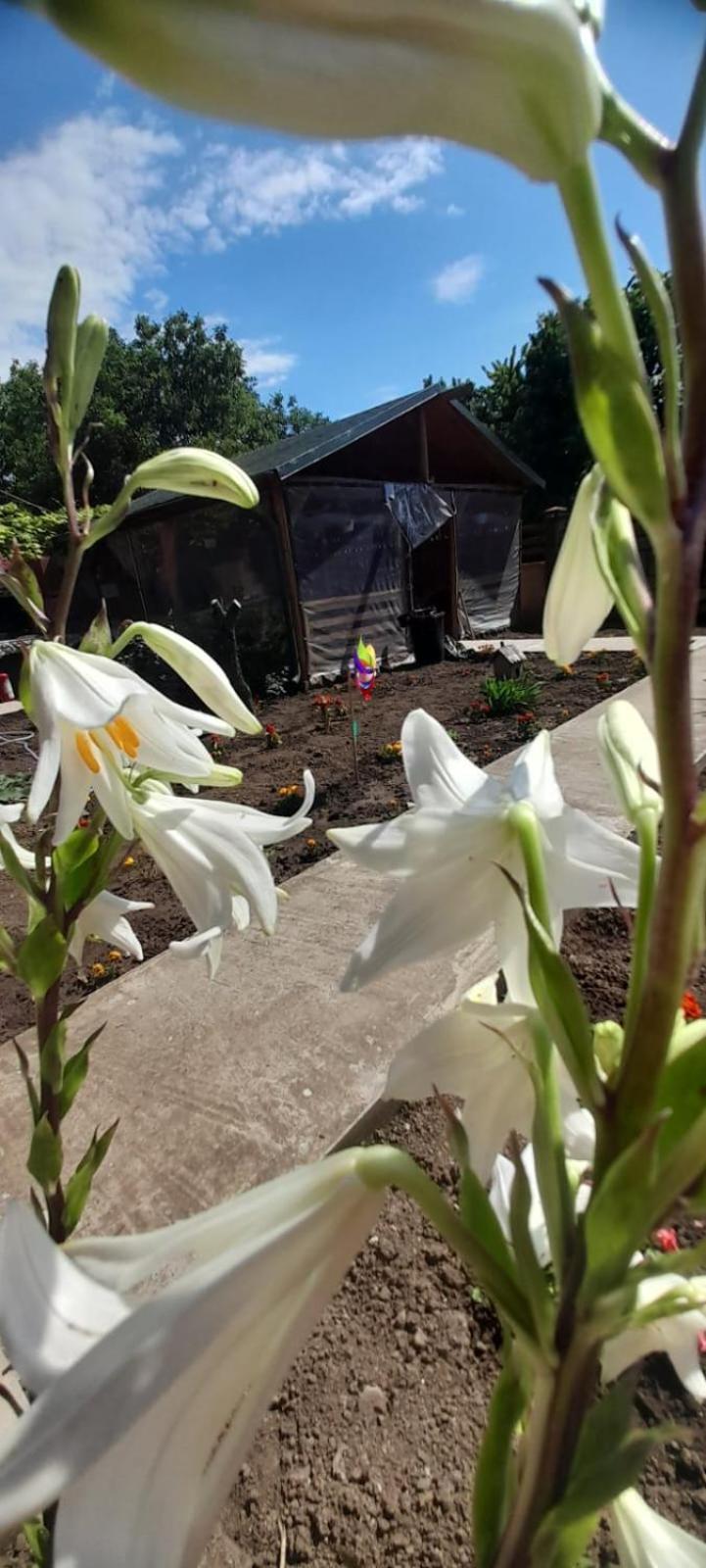 Ferienwohnung Casa Calin Vama Veche Exterior foto