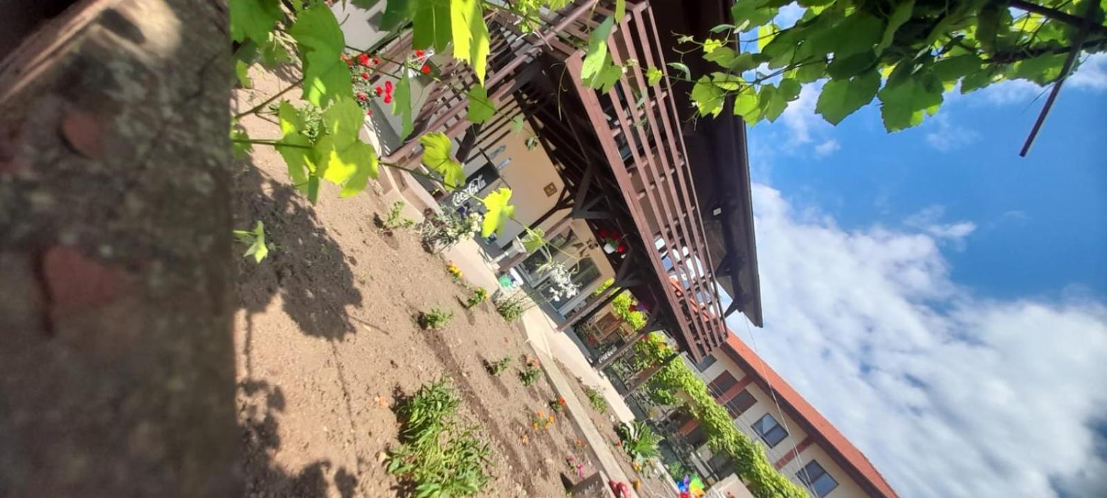 Ferienwohnung Casa Calin Vama Veche Exterior foto